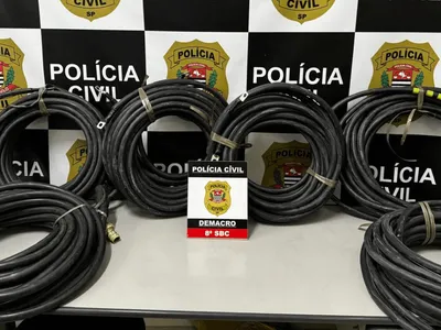 Homem é preso após furtar 300kg de fios de cobre do Autódromo de Interlagos