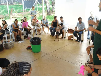 6º Mutirão de Castração esteriliza 645 animais