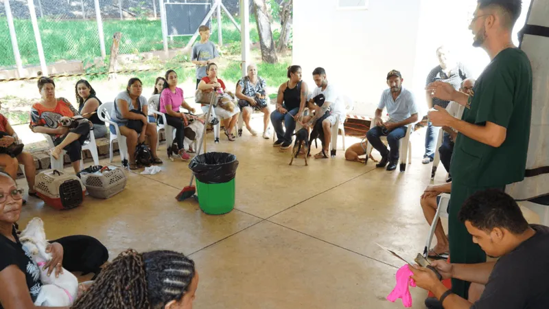 6º Mutirão de Castração esteriliza 645 animais