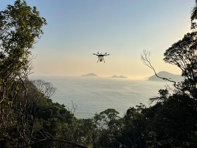 Como ocorre a recuperação ambiental nas áreas afetadas por deslizamentos em São Sebastião?