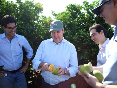 Cutrale quer plantar 5 mil hectares de pomares de laranja em Mato Grosso do Sul