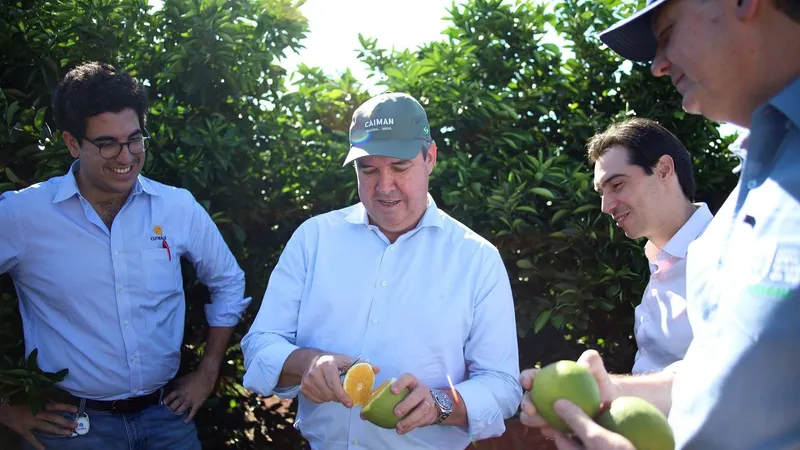 Cutrale quer plantar 5 mil hectares de pomares de laranja em Mato Grosso do Sul