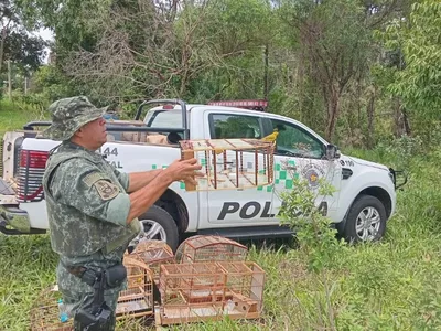 Polícia Ambiental apreende pássaros mantidos no cativeiro em Guararapes