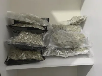 Maconha ‘fresh frozen’ é vendida por sistema de ‘delivery’ no Rio de Janeiro