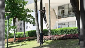 Campinas começa instalação de iluminação de Natal