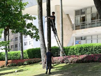 Campinas começa instalação de iluminação de Natal