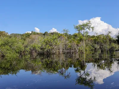 Noruega anuncia doação de US$ 60 milhões ao Fundo Amazônia no Rio