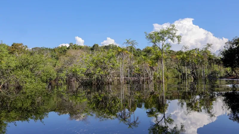 Noruega anuncia doação de US$ 60 milhões ao Fundo Amazônia no Rio