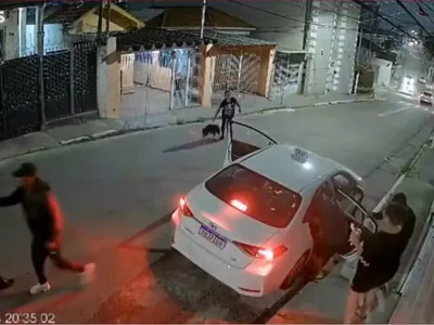 VÍDEO: mulher solta pitbull para tentar evitar assalto na zona leste de SP