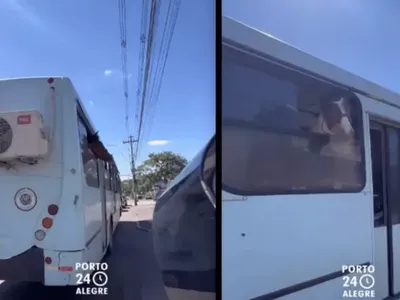 Cavalos são vistos andando de ônibus em Porto Alegre