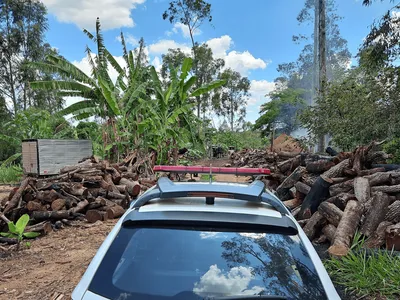 Dono de carvoaria é multado em R$ 148 mil por manter madeira nativa sem autorização