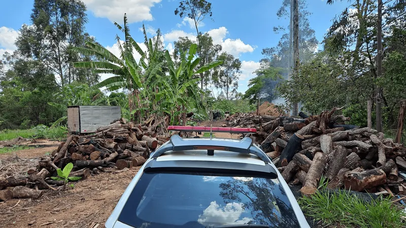 Dono de carvoaria é multado em R$ 148 mil por manter madeira nativa sem autorização