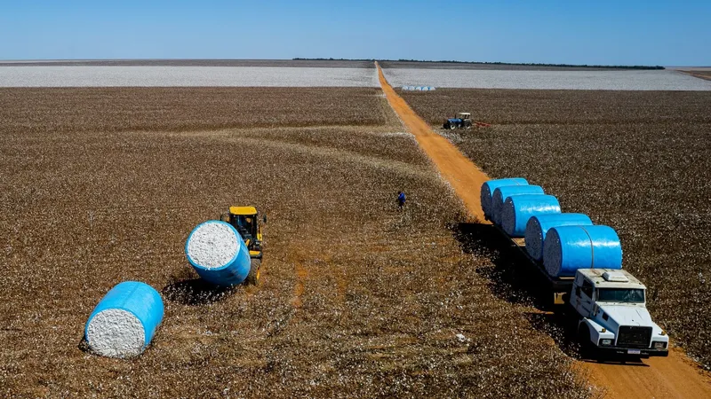 PIB de Mato Grosso cresce mais de 1.230% em 20 anos