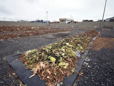 Cidade litorânea transforma resíduos de alimentos em adubo e gera economia