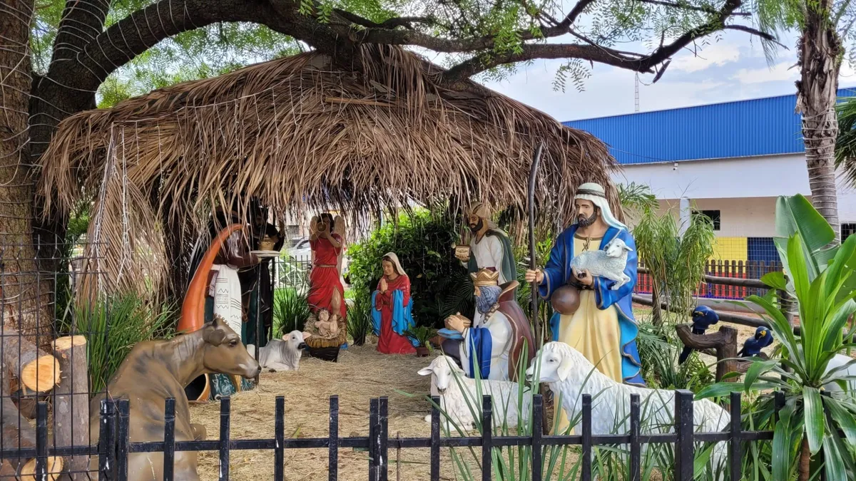 Presépio com animais vivos é montado em Uchoa