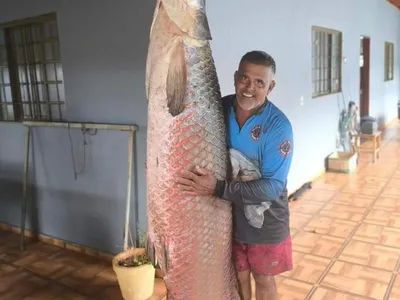 Pescador fisga dois pirarucus gigantes em São Paulo