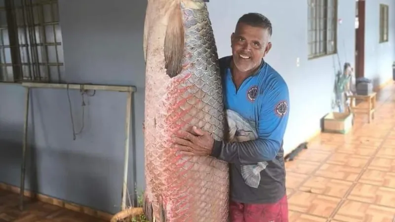 Pescador fisga dois pirarucus gigantes em São Paulo