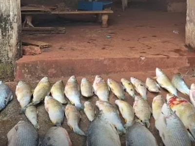 Trio é flagrado por pesca irregular na região de Nova Granada