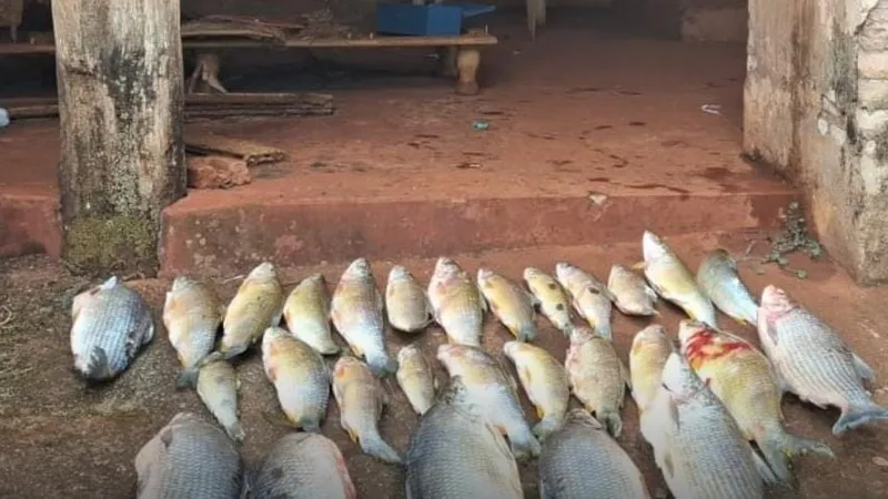 Trio é flagrado por pesca irregular na região de Nova Granada