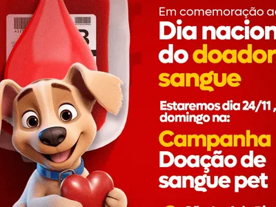 Hemocentro de cães e gatos realiza evento especial no domingo (24)