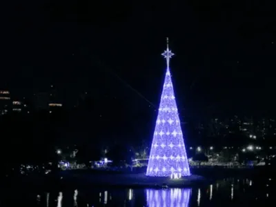 Árvore de natal do Ibirapuera será inaugurada no dia 30 de novembro