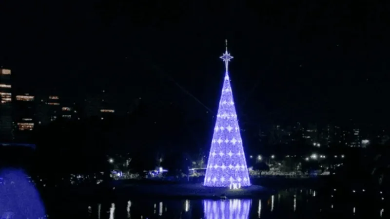 Árvore de Natal do Ibirapuera será inaugurada no dia 30 de novembro