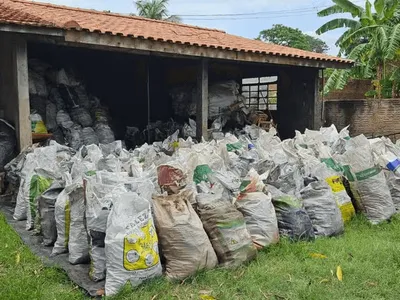 Polícia apreende duas toneladas de carvão sem licença em Presidente Epitácio