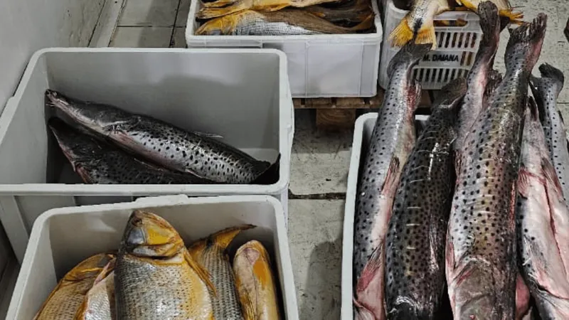 Polícia apreende mais de 300 Kg de pescado na região de Barretos