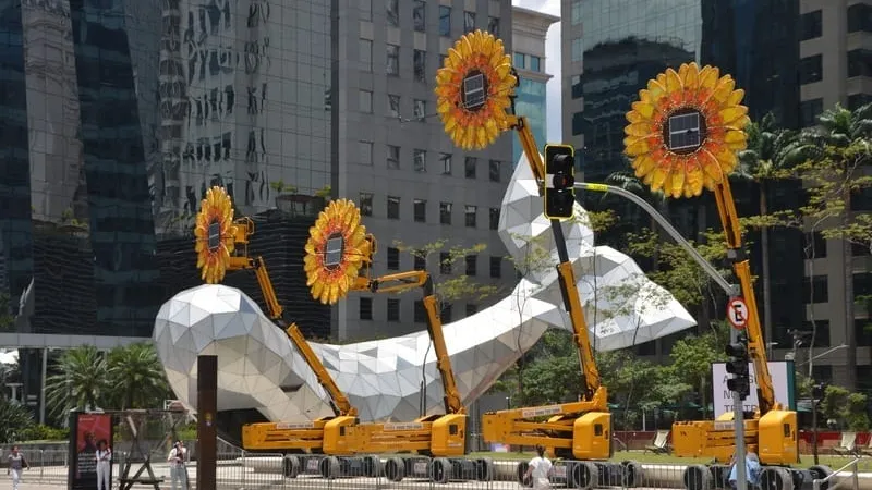 Girassóis gigantes e sustentáveis invadem São Paulo