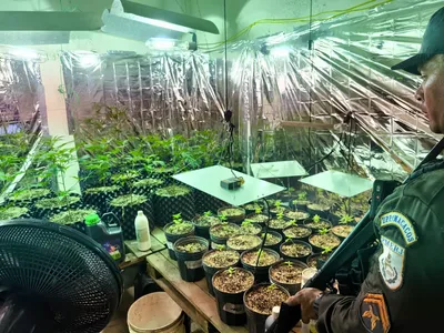 Polícia Militar identifica imóvel utilizado para o cultivo de drogas, em Vila Isabel