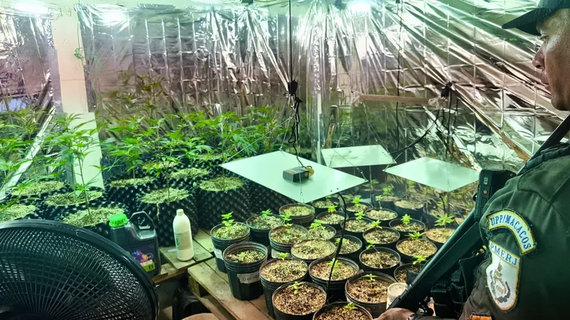 Polícia Militar identifica imóvel utilizado para o cultivo de drogas, em Vila Isabel