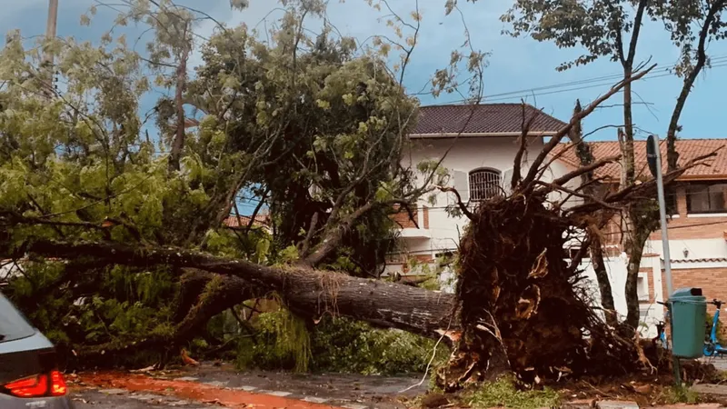 Temporal em São José dos Campos deixa mais de 35 mil imóveis sem energia e derruba árvores