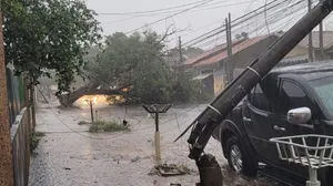 Chuva de quase 40 mm em uma hora e meia causa quedas de árvores e poste em Americana