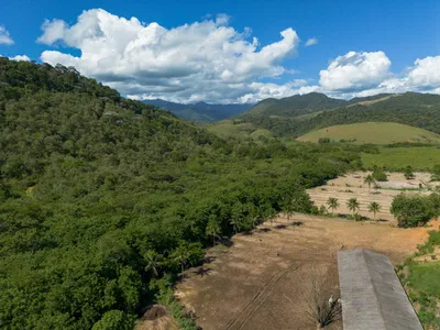 Reflorestamento em áreas privadas ajuda a preservar Mata Atlântica