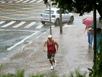 Chuva derruba árvore e alaga imóveis e via em Campinas