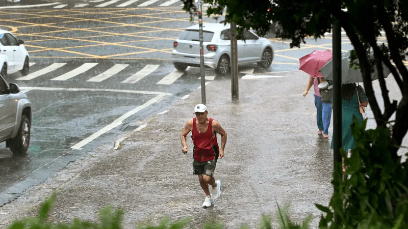 Chuva derruba árvore e alaga imóveis e via em Campinas