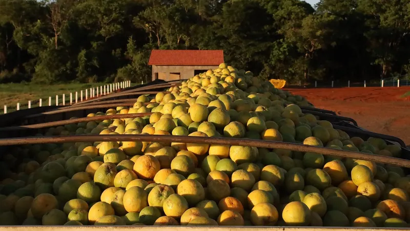 Mato Grosso do Sul anuncia benefícios fiscais para produção de laranja