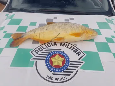 Dois homens são multados por pesca ilegal em Adamantina