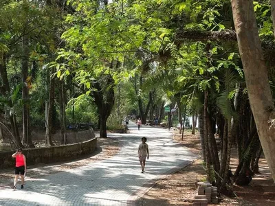 Prefeitura de Campinas reabre parques e bosques à população nesta sexta-feira (6)