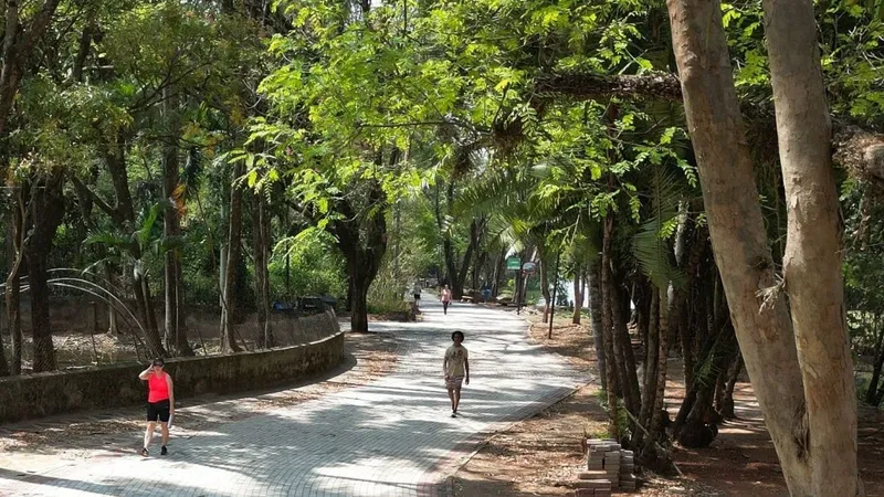 Prefeitura de Campinas reabre 12 parques e bosques e mantém outros 13 fechados