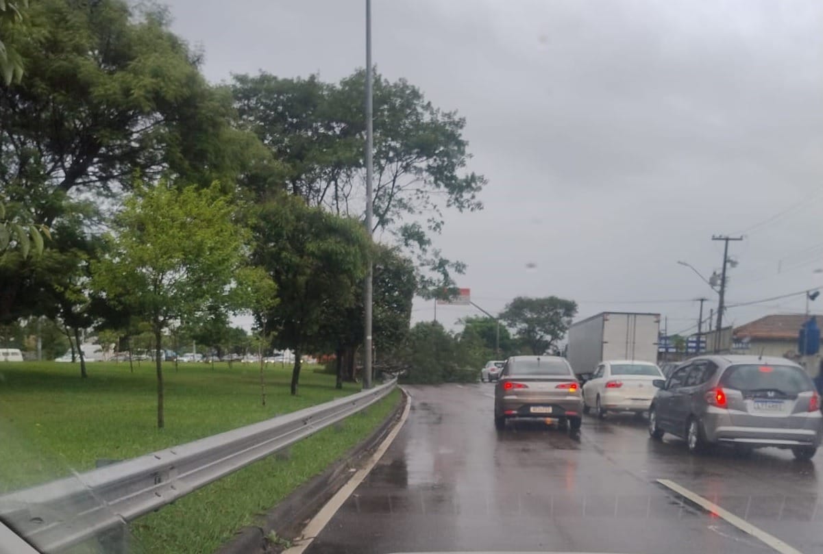 Chuva Causa Alagamentos E Transtornos Em Bairros De Curitiba