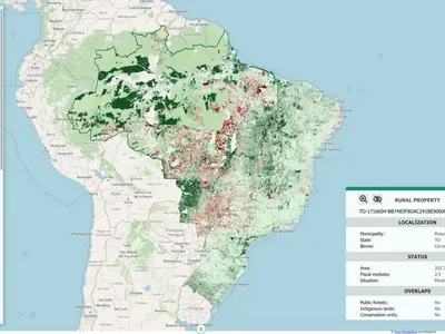 Brasil tem 95 milhões de hectares à espera de pagamento por serviços ambientais