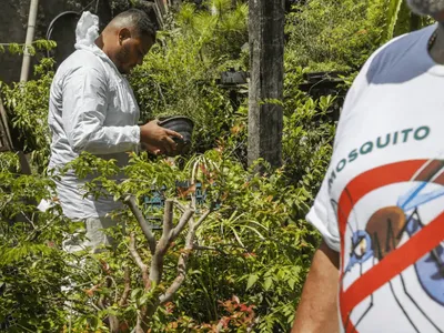 Dia D contra dengue promove ações de conscientização em todo Brasil