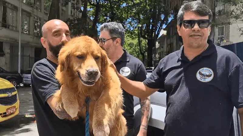 Cachorro é encontrado doze dias após ser levado por motorista de aplicativo