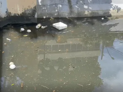 Moradores do Leblon, na Zona Sul do Rio, relatam a presença de sujeira no canal