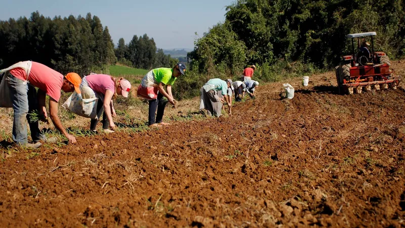 Adesão obrigatória da nota fiscal eletrônica do produtor rural é adiada para fevereiro