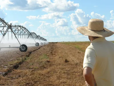 Oeste baiano supera Minas Gerais e se torna o maior polo de irrigação do Brasil