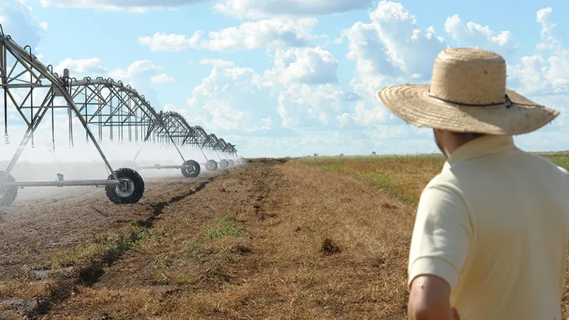 Oeste baiano supera Minas Gerais e se torna o maior polo de irrigação do Brasil