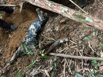 Homem envolvido no tribunal do crime é preso em "cemitério clandestino do PCC" em Ubatuba