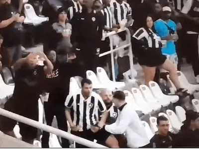 Torcedores do Botafogo são denunciados por racismo em jogo contra o Palmeiras